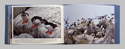 Acadia photography book, Maine Coast panoramic photography, Maine stock photography