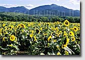 Adirondack High Peaks pictures and fine art prints