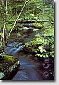 Adirondack prints - fine art nature photography prints - Vanderwhacker Stream near Newcomb, New York