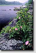 Adirondack Park nature photography and fine art prints - Hudson River