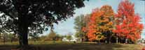 Foliage and farm in Minerva