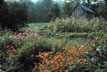 Garden and barn in the southeastern Adirondacks