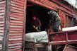 Filling the ice house - in Raquette Lake