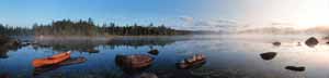 A wild shoreline of boreal growth in the North Hudson area