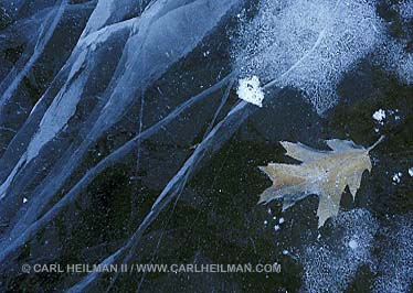 Adirondack Nature Photography Workshop - Winter detail on Lake George