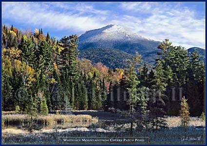 banana Alexander Graham Bell Daughter Adirondack Jigsaw Puzzles, Whiteface Mountain from Cherry Patch Pond Puzzle